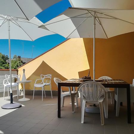 Appartamento Con Terrazza Lido delle Nazioni Exteriér fotografie